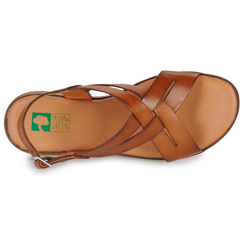 Dream in Green - GALYA - Camel