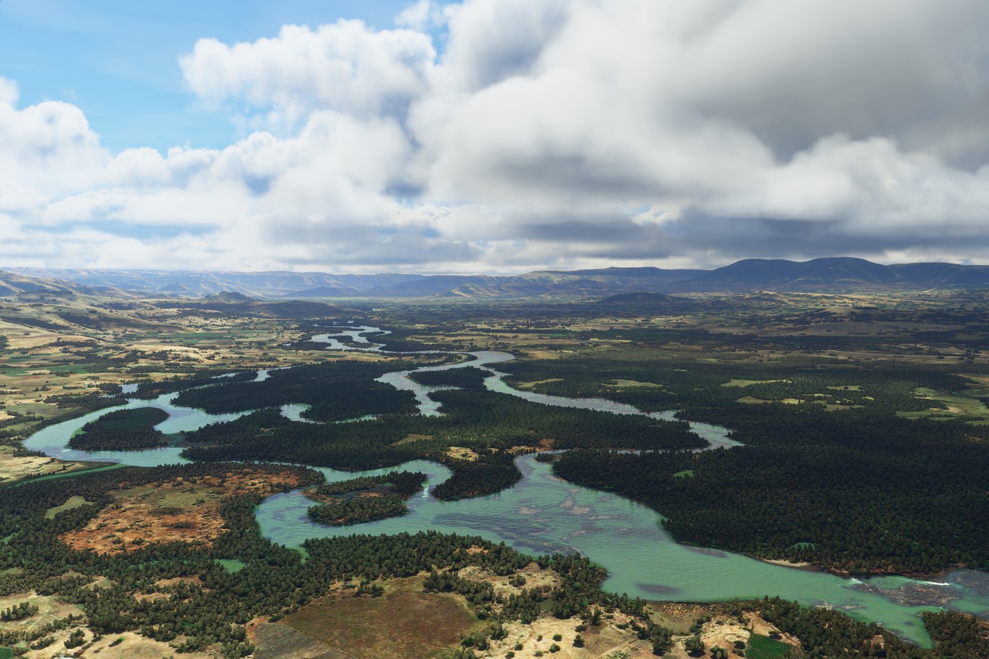 Microsoft Flight Simulator: Deluxe Edition- PC