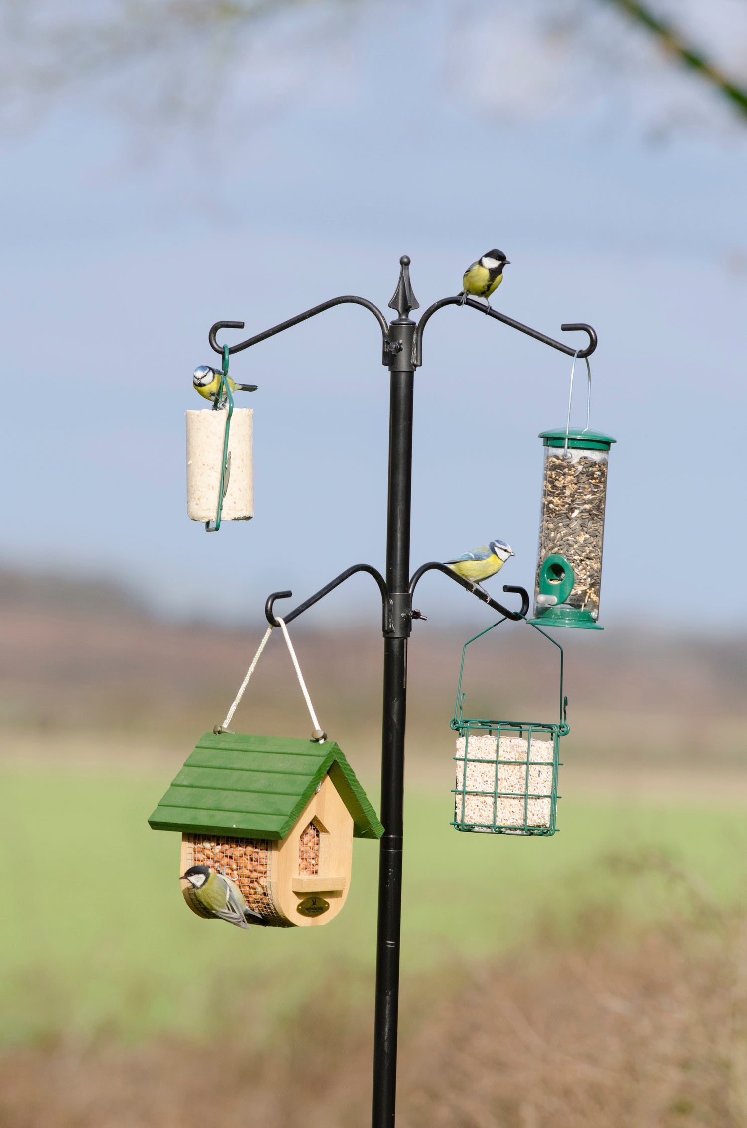 CJ Wildlife voederpaal systeem H 234 cm