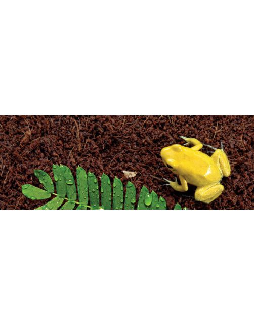 Exo Terra Subtraat Plantion Soil - Voedingsbodem