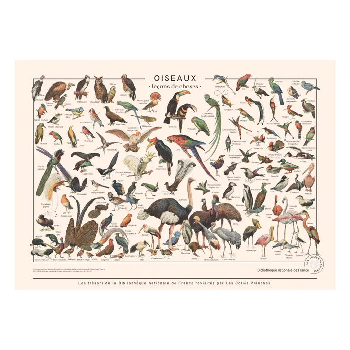 Les Jolies Planches Planche Oiseaux 50x70 cm