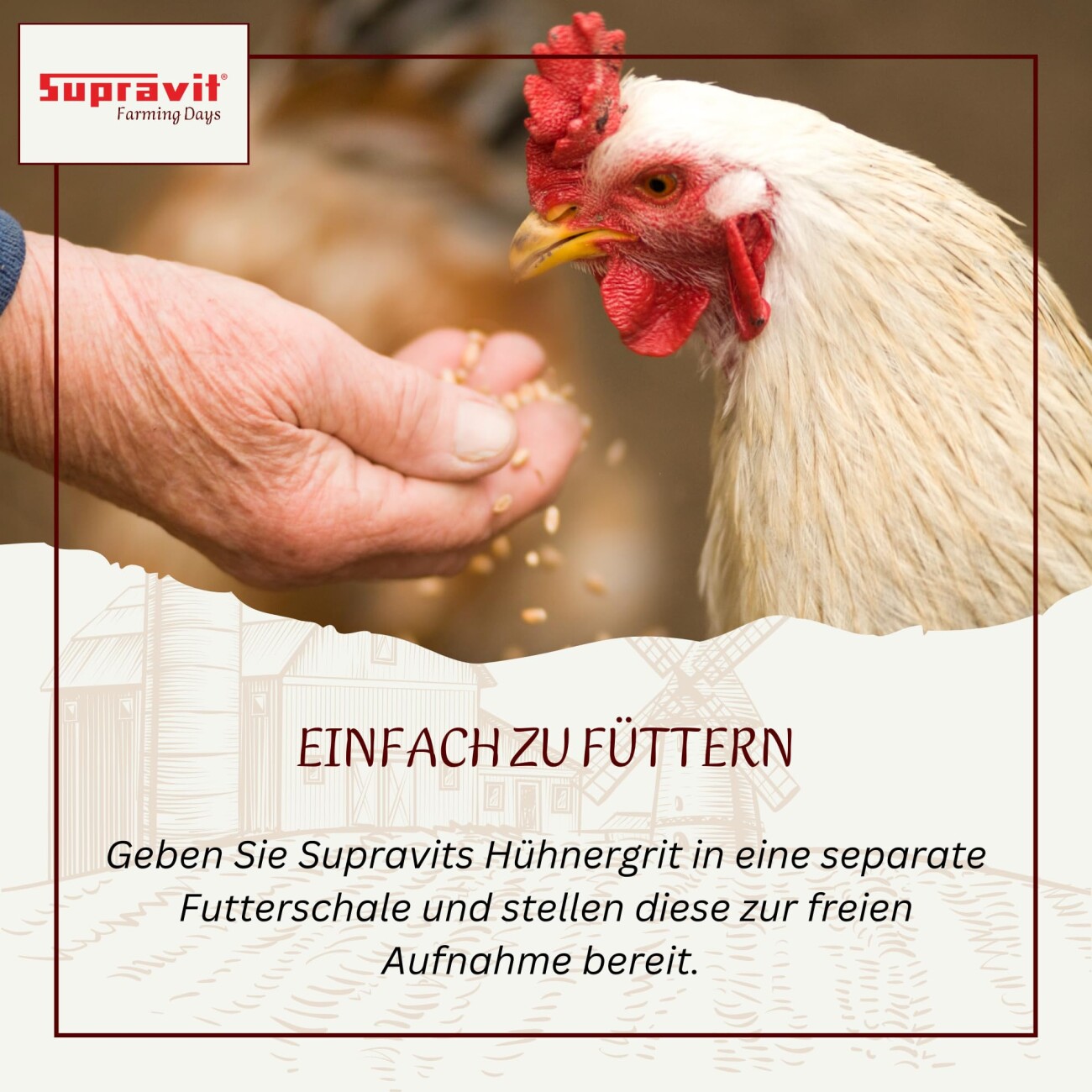 Supravit Hühnergrit Geflügelgrit 4 kg - Muschelkalk für Knochen - Futterkalk Naturprodukt für Hühner