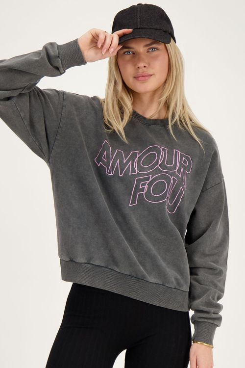 Grijze sweater amour fou