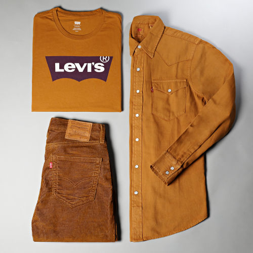 Chemise Manches Longues Western Standard 85745 Camel
