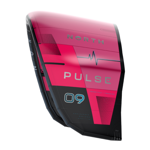 North Pulse 2024 DEMO
