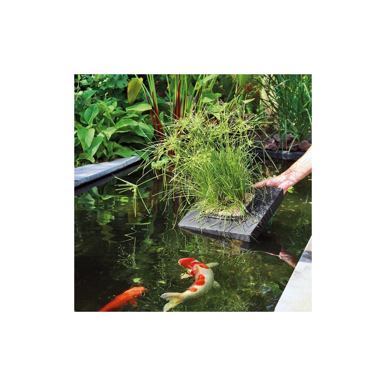 Velda Floating Plant Island eckig 35 cm