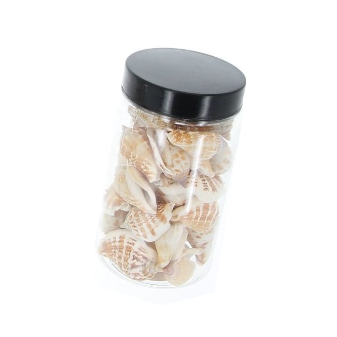 Streudeko - Muscheln - creme/braun - ca. 200 g