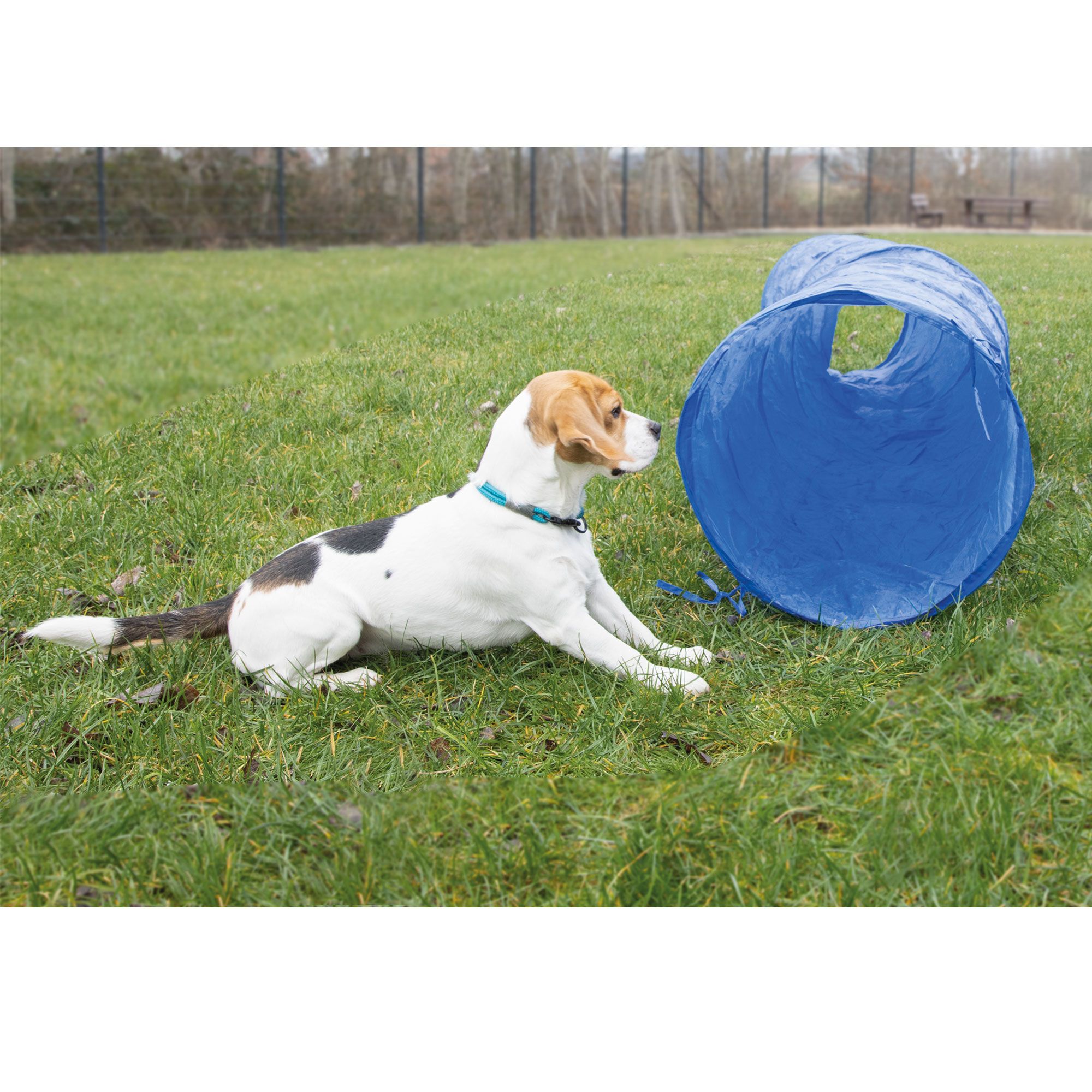 Procyon Hundespielzeug - Agility Tunnel - 300 x 50 cm