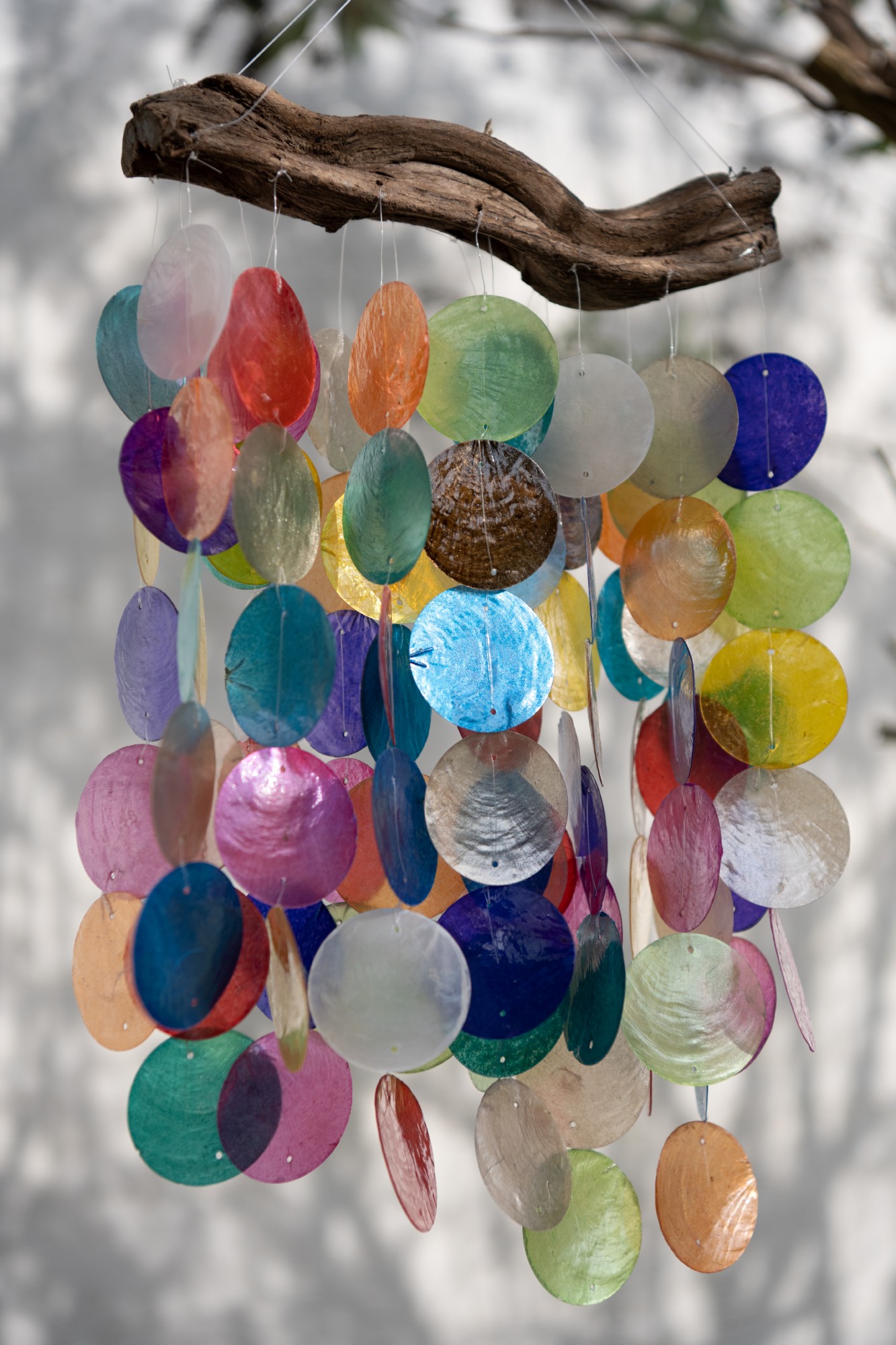 Windspiel Perlmuttscheiben, multicolor, H 40 cm, B 25 cm, günstig bestellen