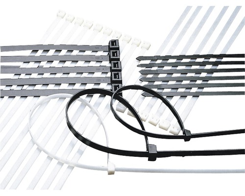 Haupa 262502 Kabelbinders 100x2,5 mm Nylon transparant 100 stuks