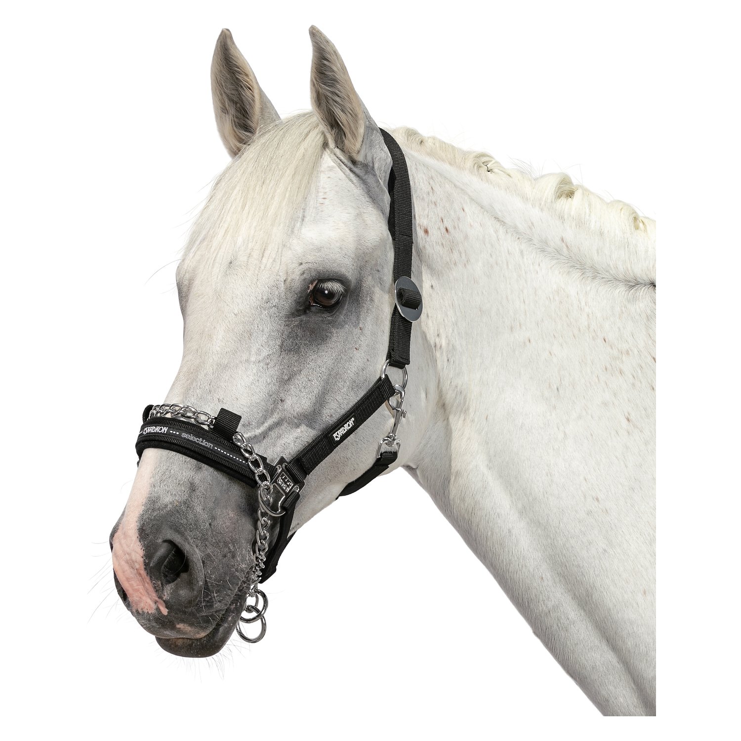 ESKADRON Halfter mit Führkette Control  - black - Pony