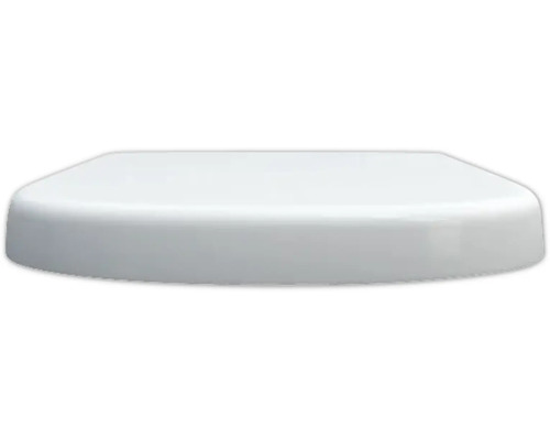 REIKA toiletzitting Ube wit met soft-close mechanisme D-vorm