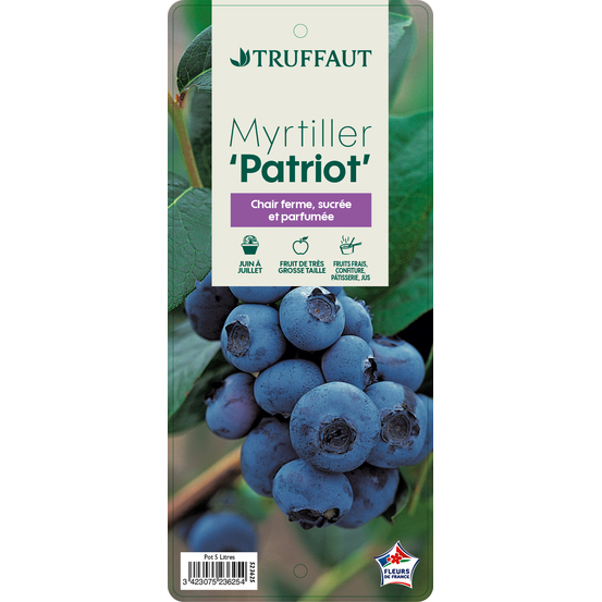 Myrtillier 'Patriot' : pot de 5 litres