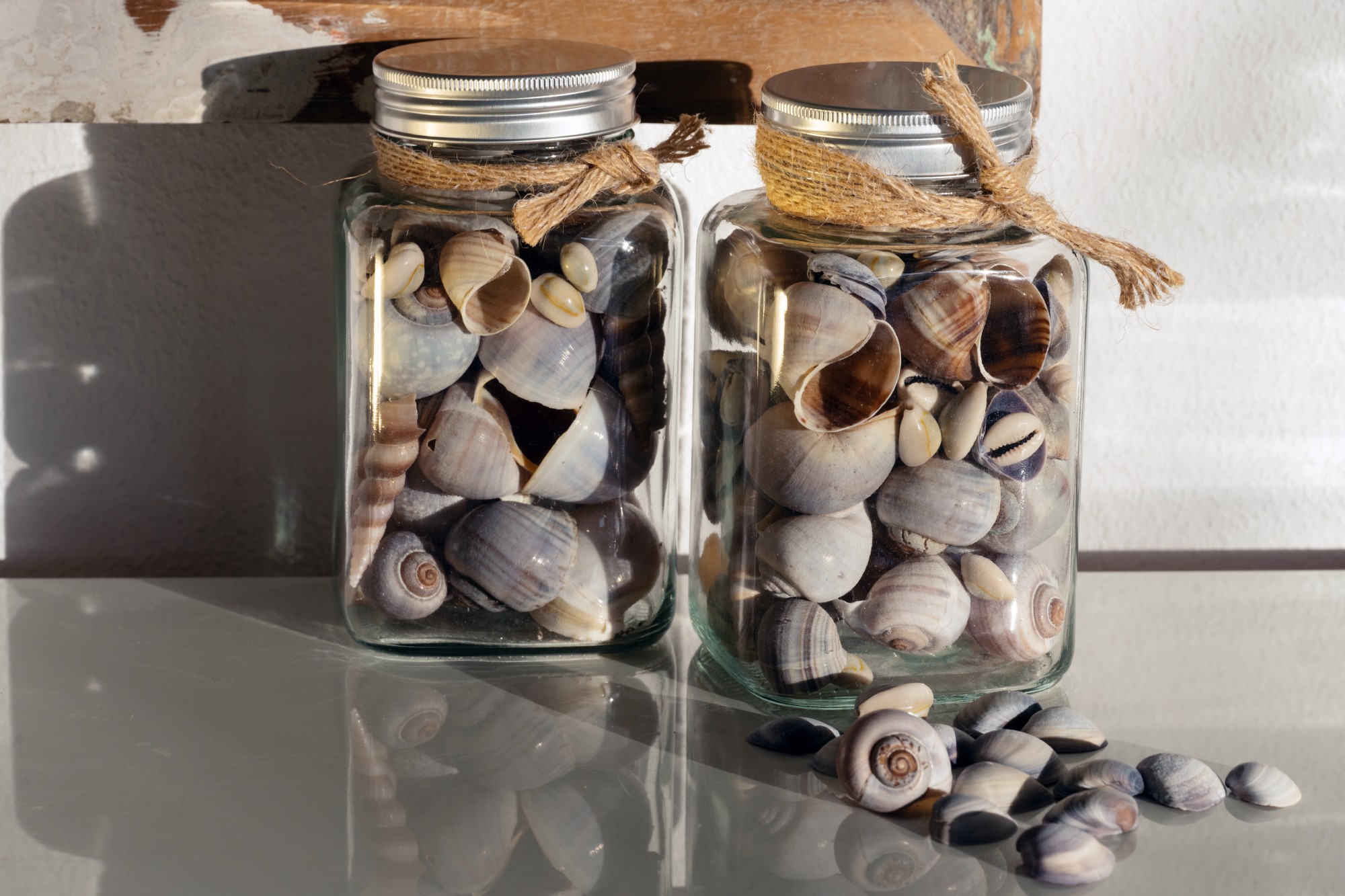 Muscheln & Schnecken im Glas, H 14 cm, B 8 cm, L 8 cm von fischer's lagerhaus