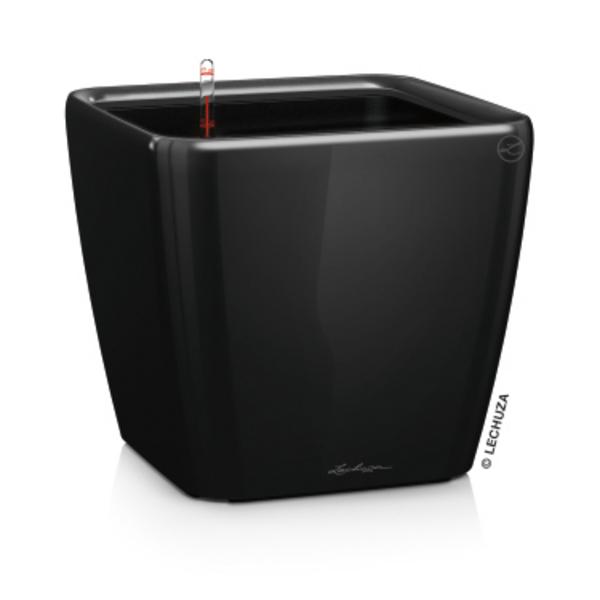 LECHUZA® QUADRO LS, All-in-One-Set