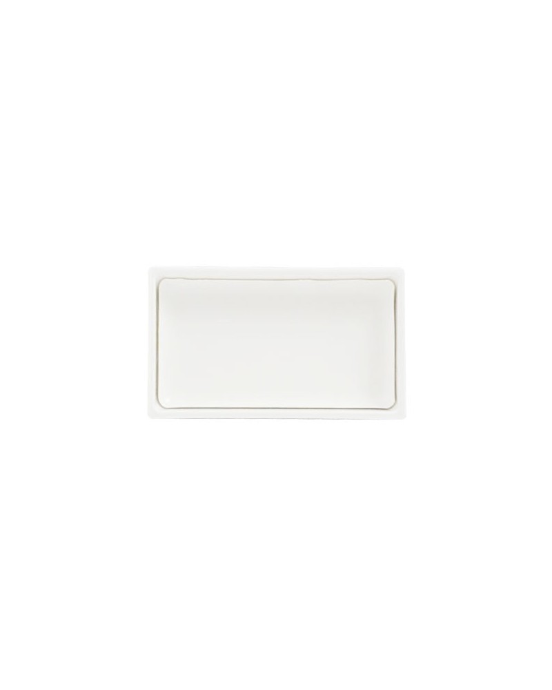 Gansai Blanc N°10