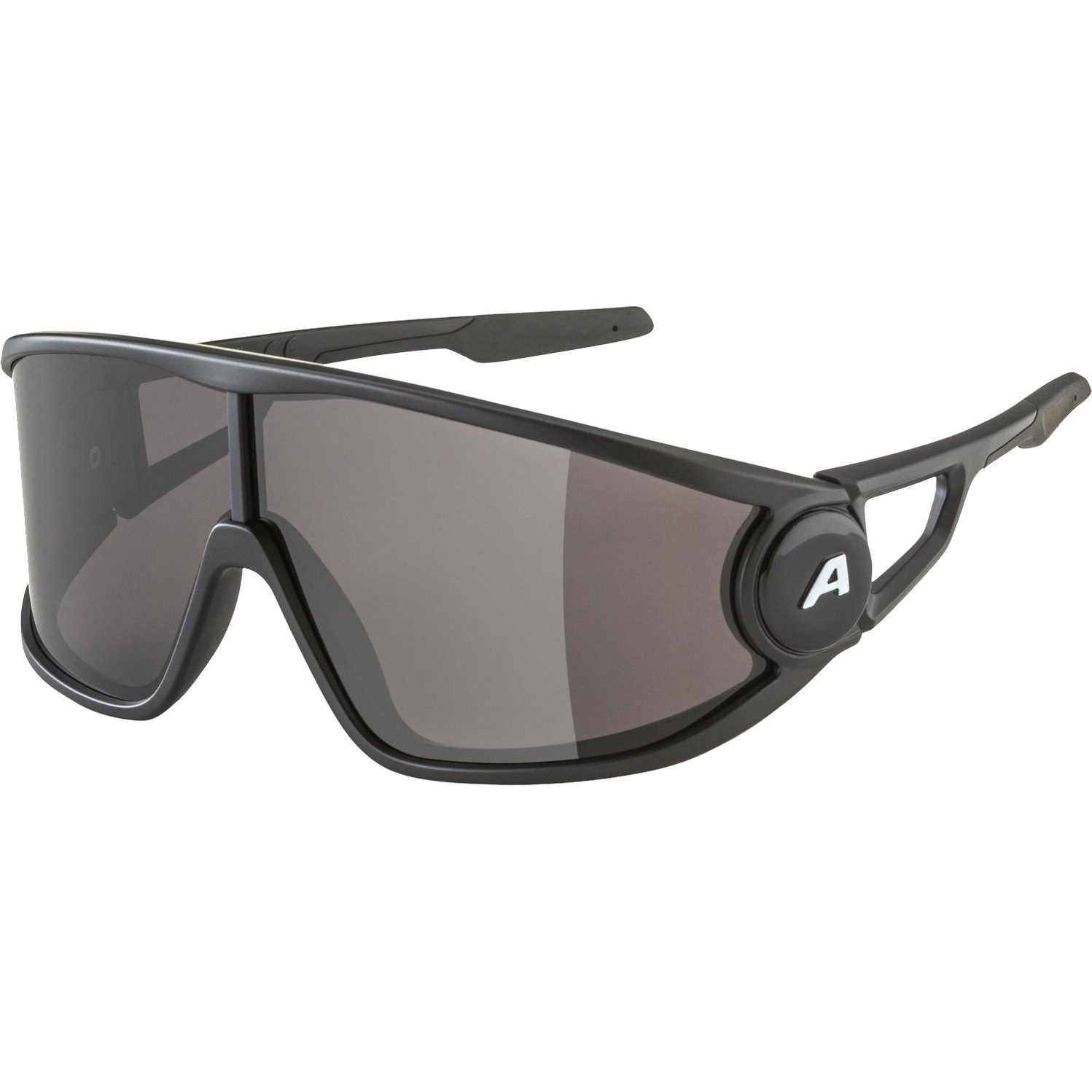 Alpina Legend Sonnenbrille mattschwarz