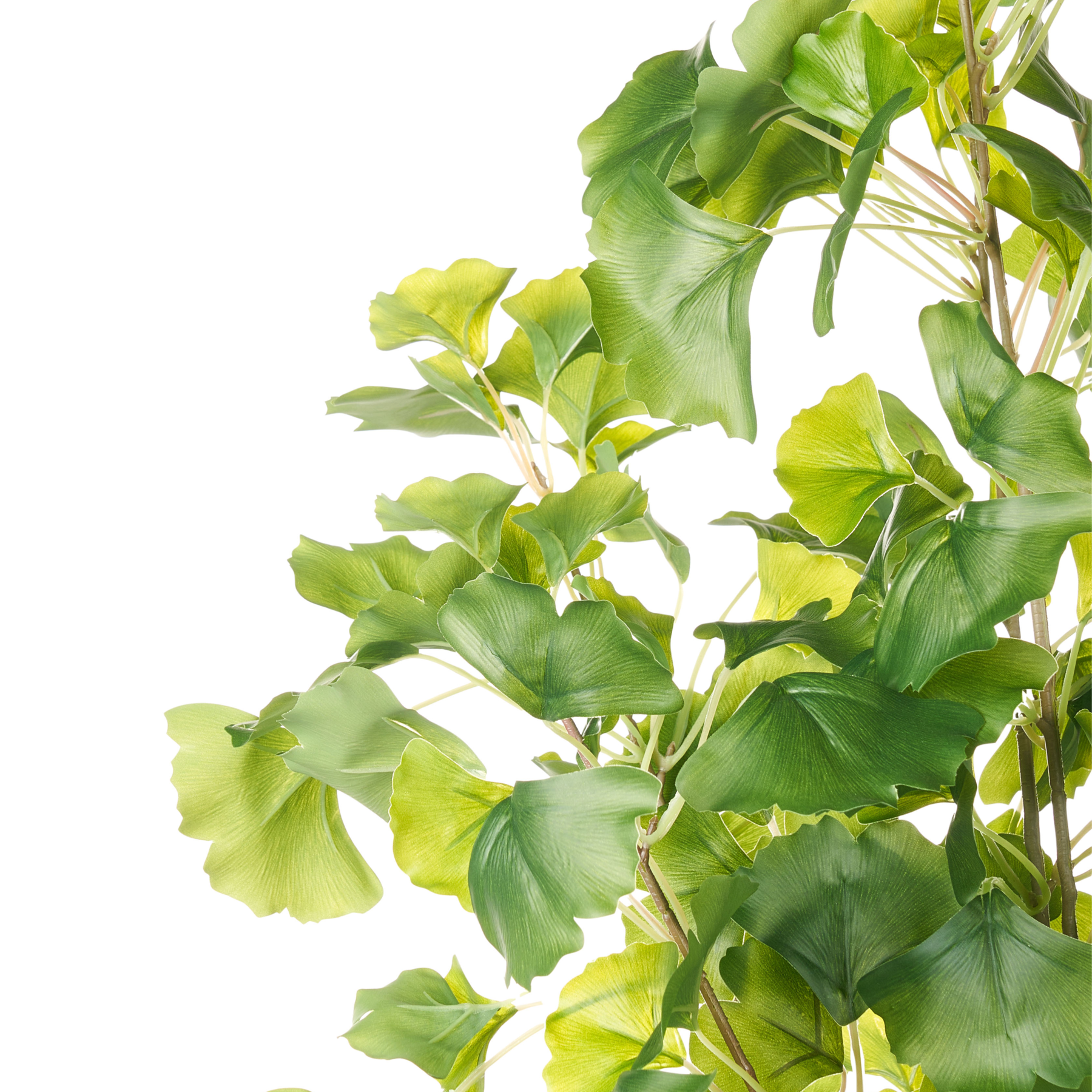 Beliani - GINKGO TREE - Kunstplant - Groen - 150 cm - Kunststof