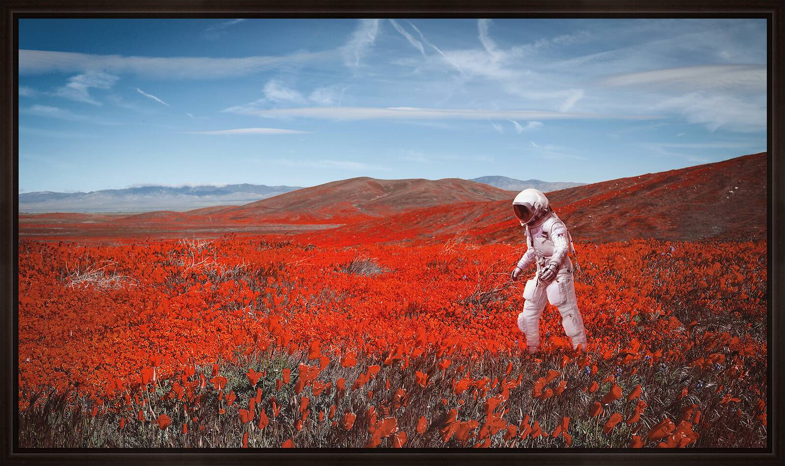 Poppy Flies by Len Van Brook - Limited Edition. Edition of: 150. Signed.