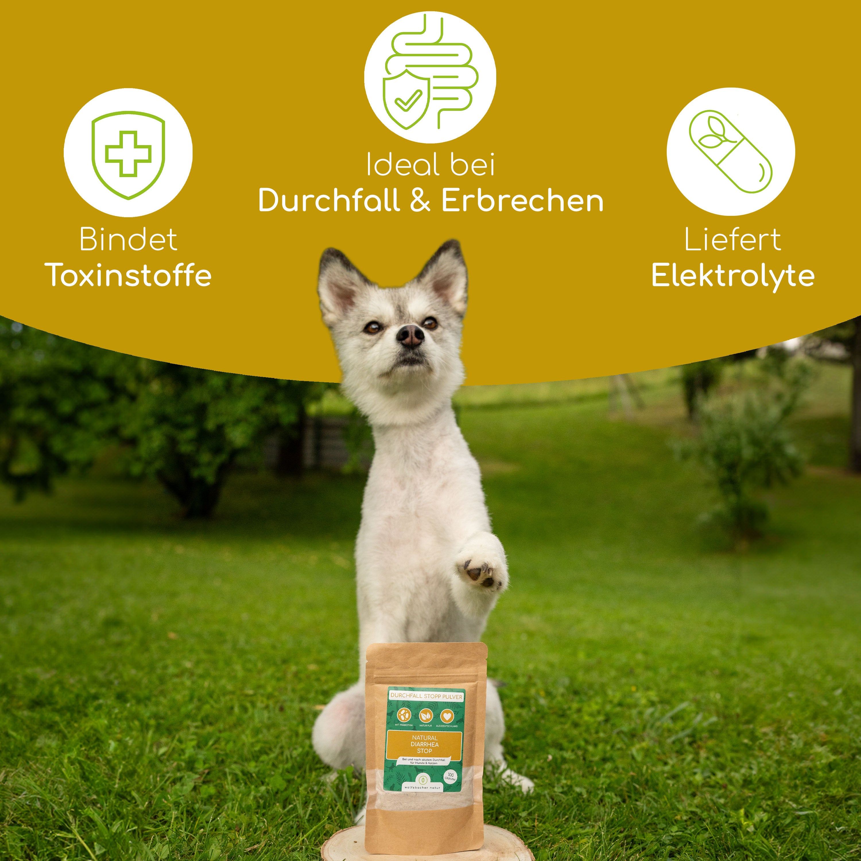 Wolfsbacher Natur Durchfall Stopp Pulver