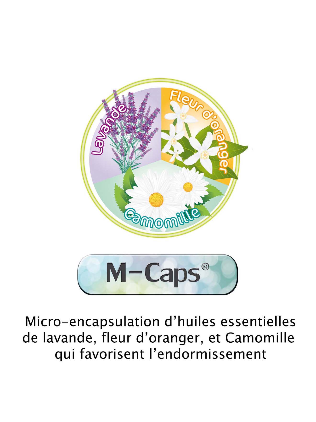 Lot 2 oreillers aux huiles essentielles