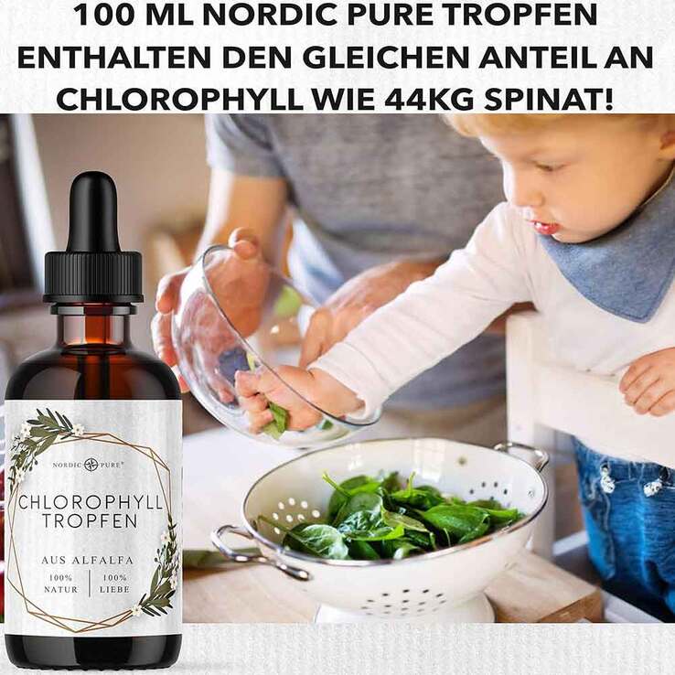 Chlorophyll-Tropfen aus Alfalfa Nordic Pure, 100 ml