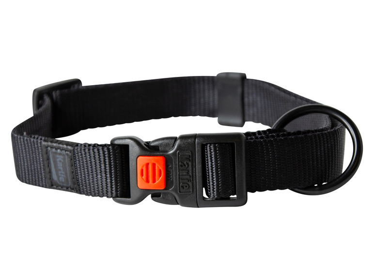 Halsband met lijn