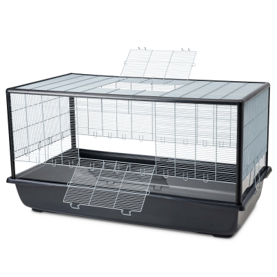Savic Nagerheim Aura 120 Plexi Knock Down