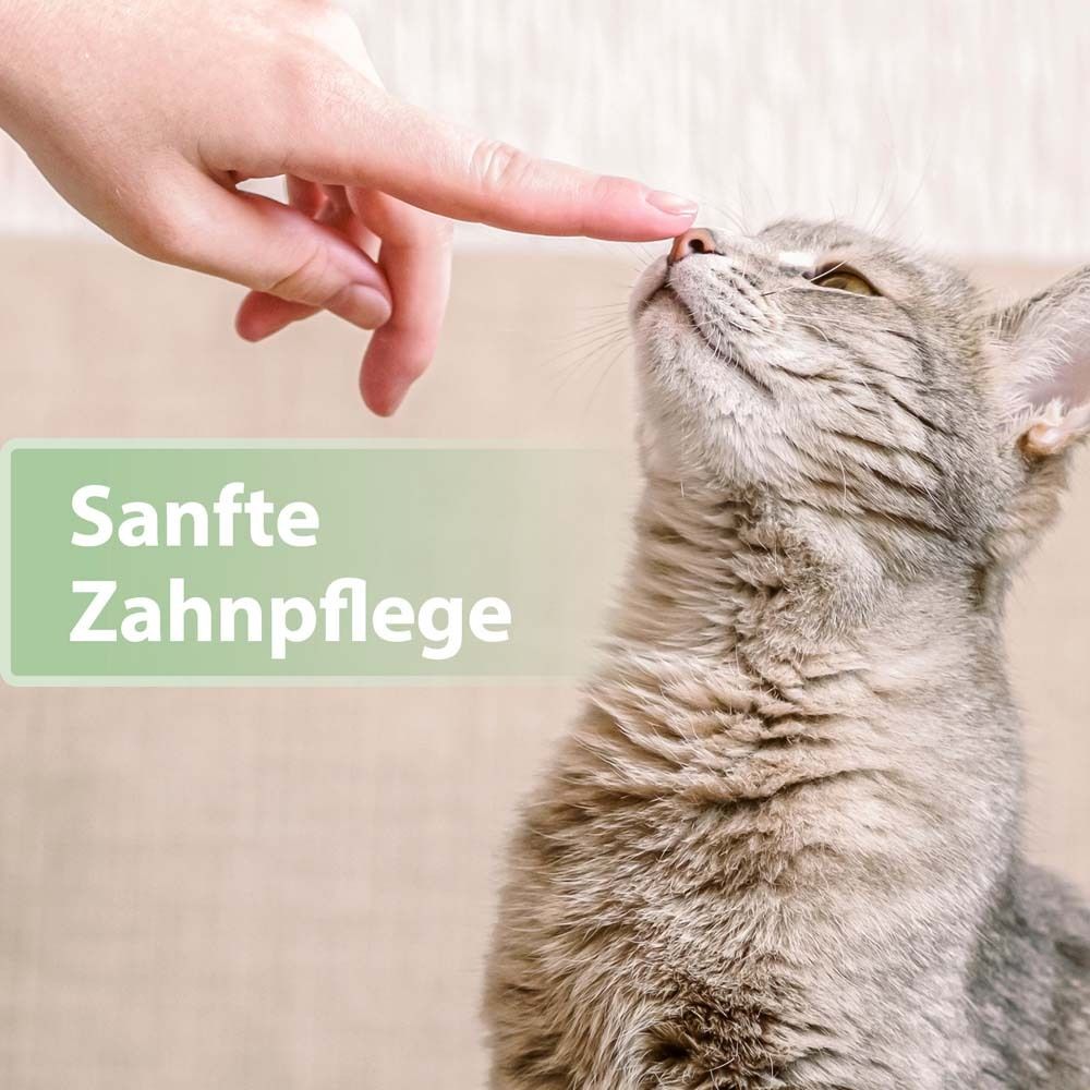 Felisept® Zahnpflege Finger-Pads für Katzen