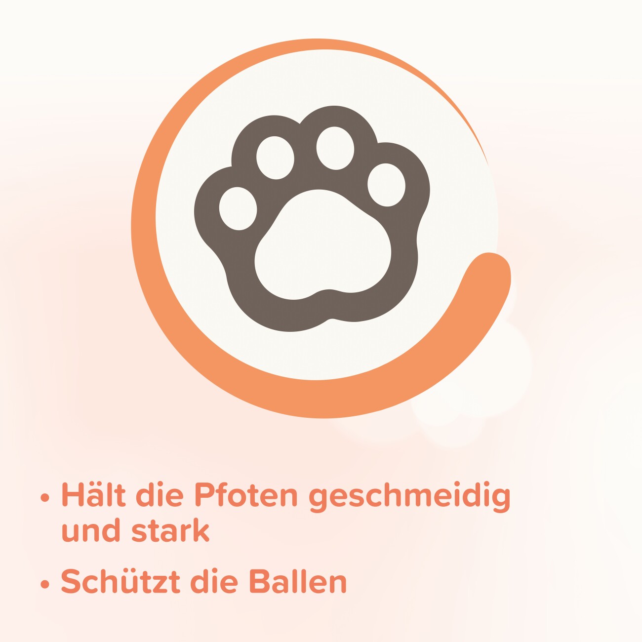 Beaphar Pfoten-Pflege Spray (mit Propolis) 150ml