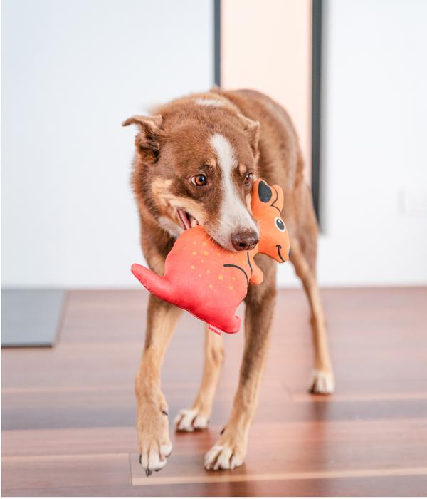 Red Dingo Hundespielzeug DURABLES Toys