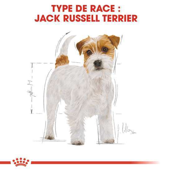 Croquettes chien Jack Russell Adulte plus de 10 mois 3kg
