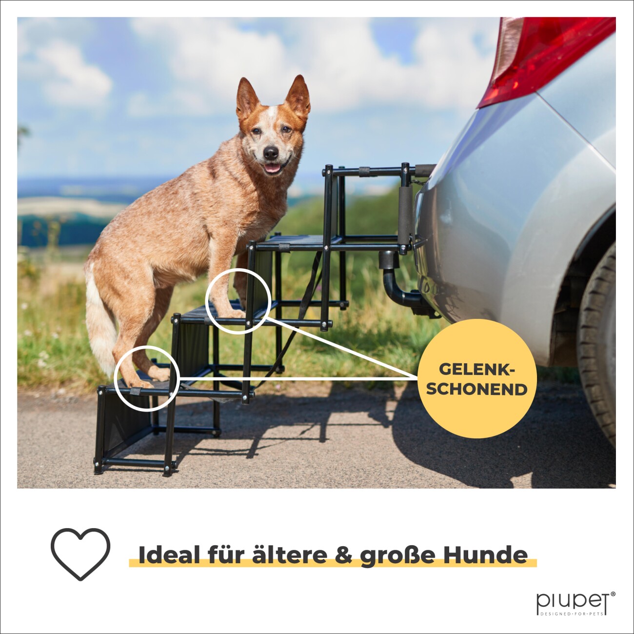PIUPET Hundetreppe