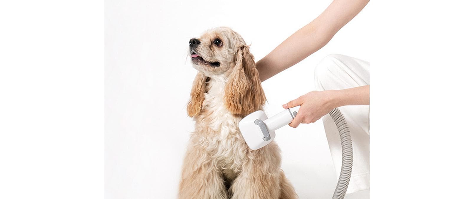 P0 Pro Hundeschermaschine, 5in1 mit StaubsaugerSchermaschine, Tiersauger für Hunde und Katzen