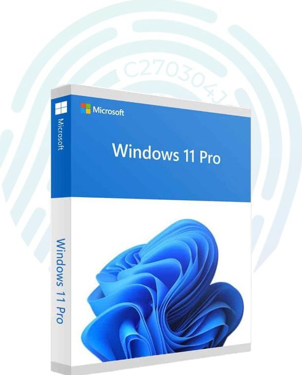 Windows 11 pro