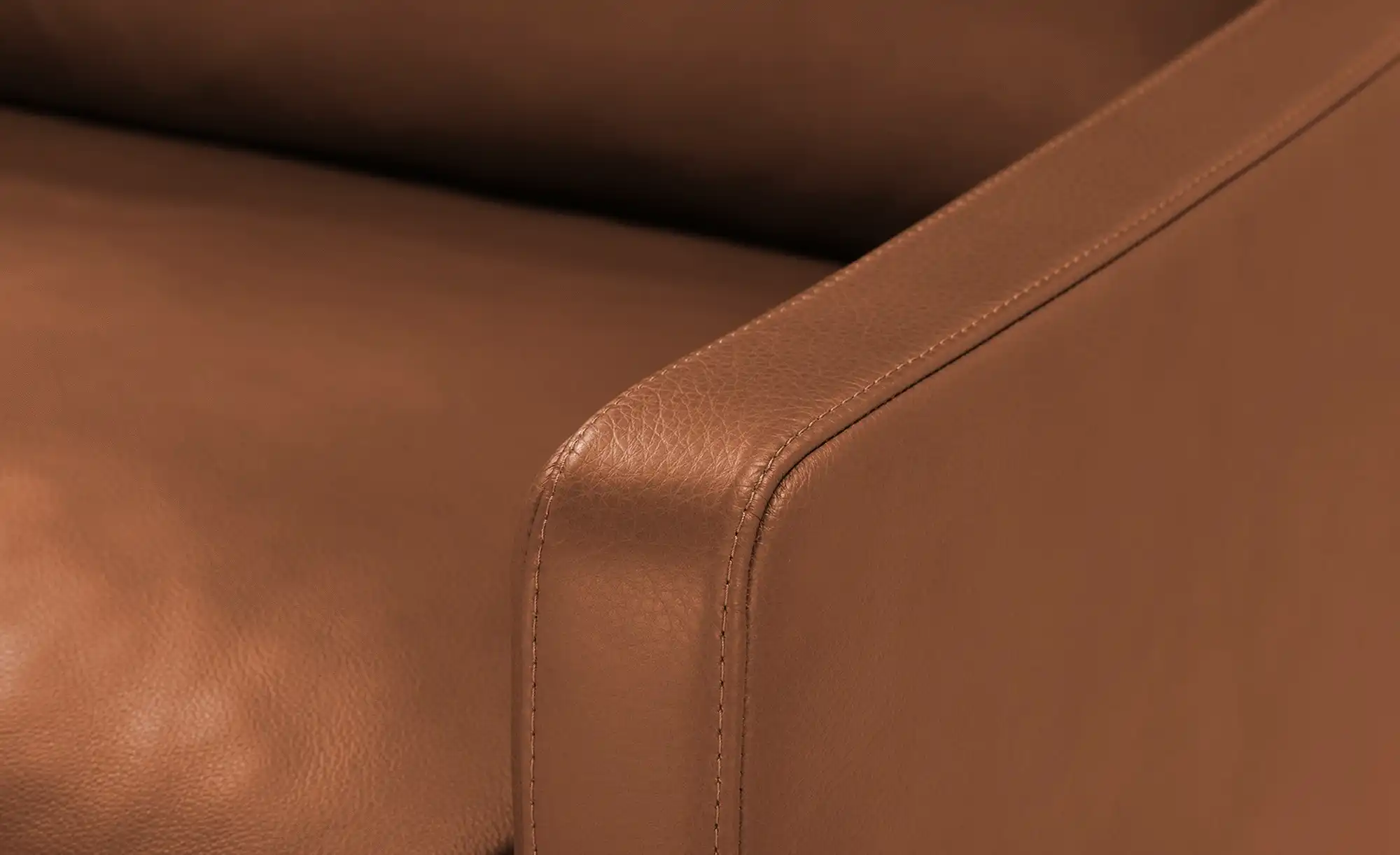 erpo just relax Ledersessel JR 290 Trento