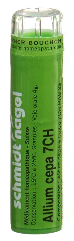 SCHMIDT-NAGEL Allium cepa Gran 7 CH 4 g