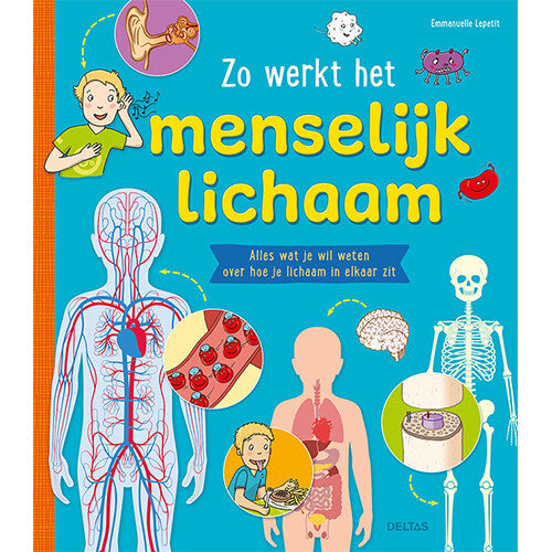Uitgeverij deltas zo werkt het menselijk lichaam