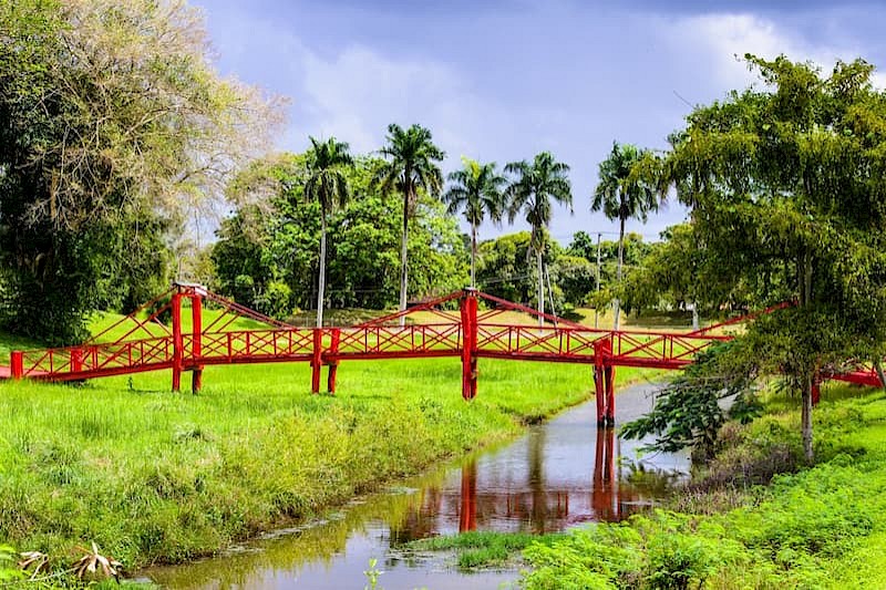 16-daagse fly-drive Suriname met huurauto en transfers