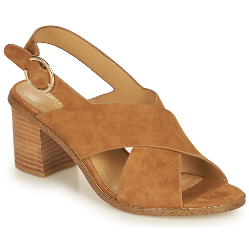 Minelli - CASIMIERA - Marron