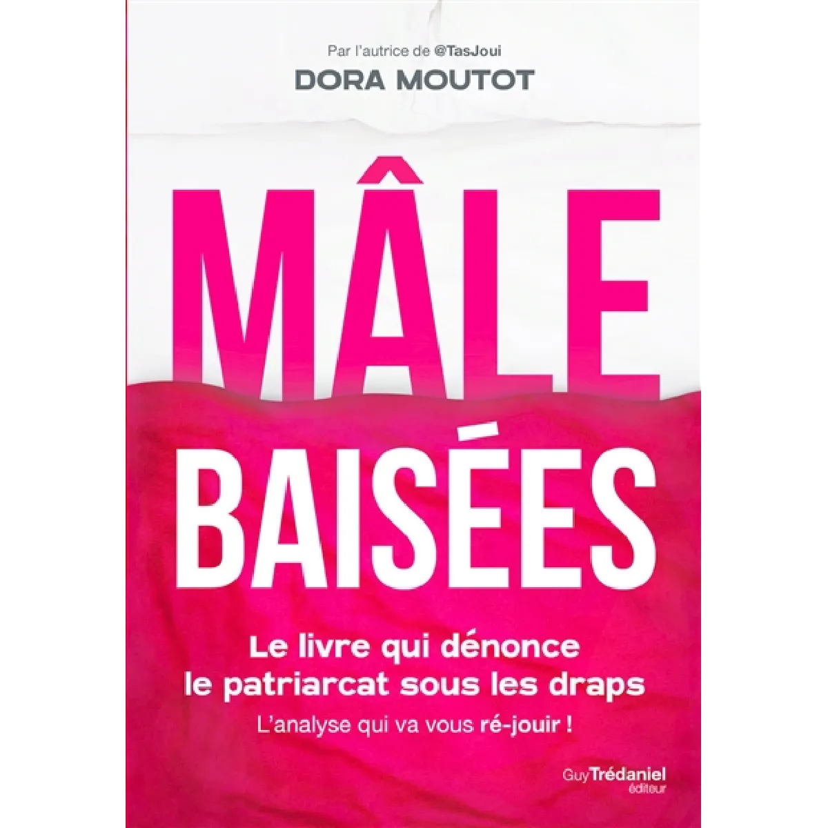 Mâle baisées : le livre qui dénonce le patriarcat sous les draps : l'analyse qui va vous ré-jouir ! · Occasion