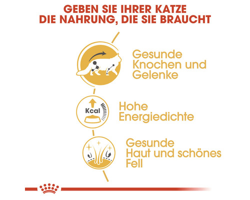 ROYAL CANIN Maine Coon Adult natvoer voor katten in saus, 85 g