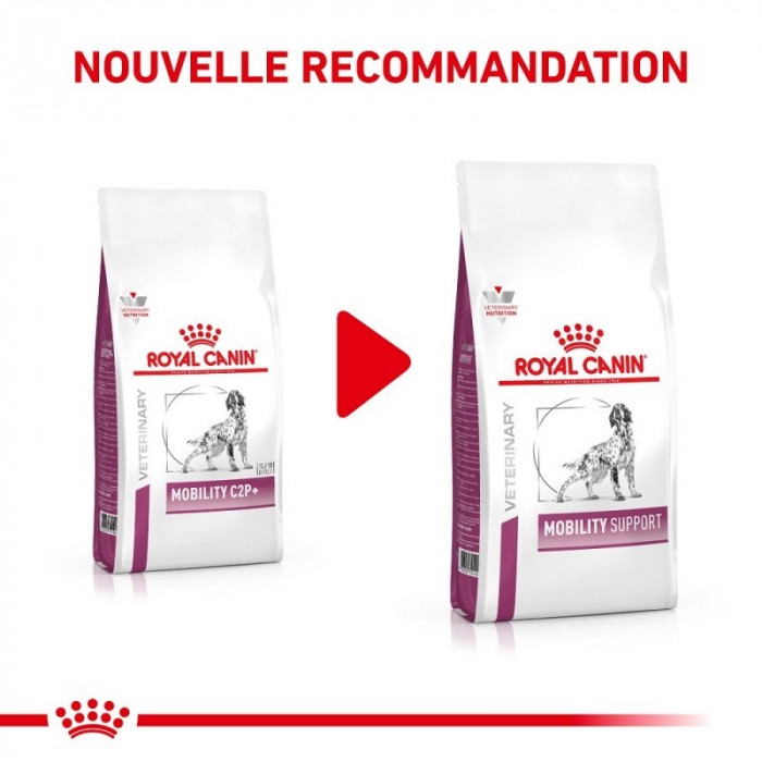 Royal Canin Veterinary Mobility Support - Croquettes pour chien