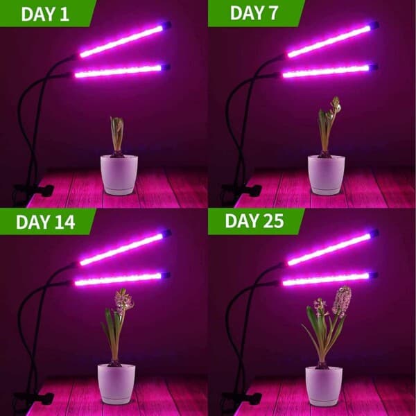 LED -plantebelysning - dobbelt full spektrumplantelampe med klemme