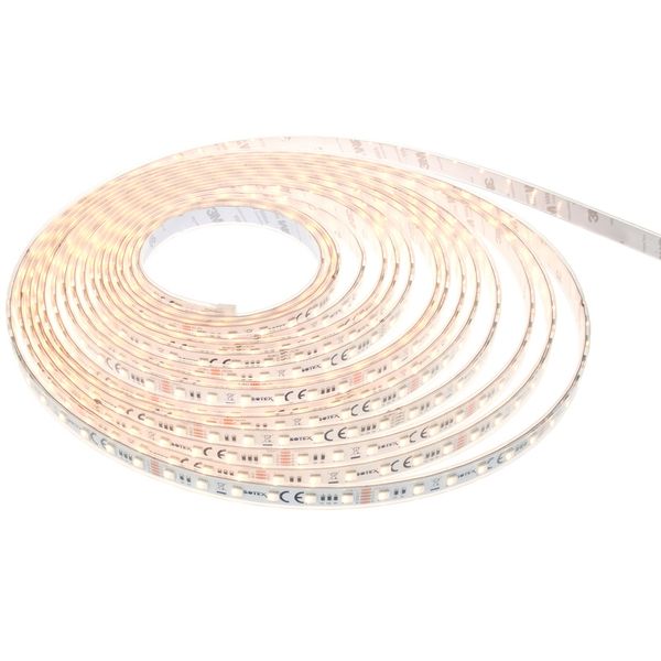 Botex LED Stripe RGBWW IP 10m