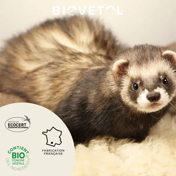 Biovetol - Antiparasitaire - Pipettes Rongeurs et Petits Mammifères - 1ml (x3)