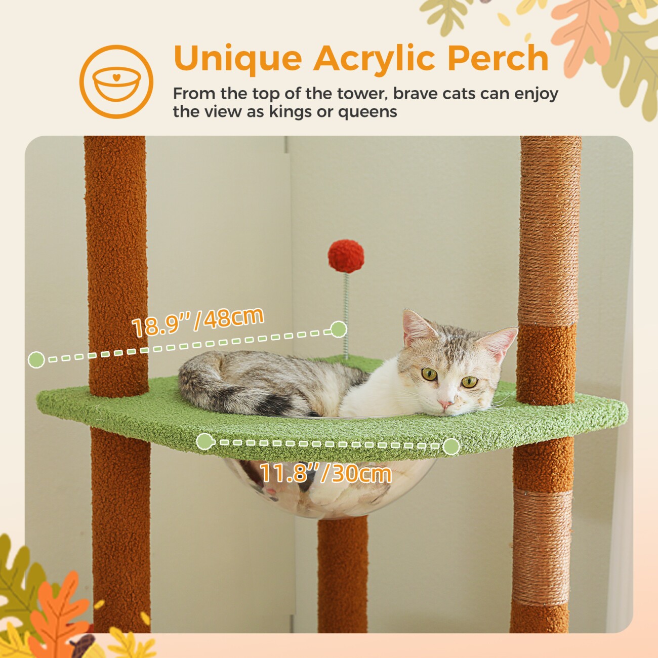 Pawz Road Deckenhoch Kratzbaum Luxus schwarz