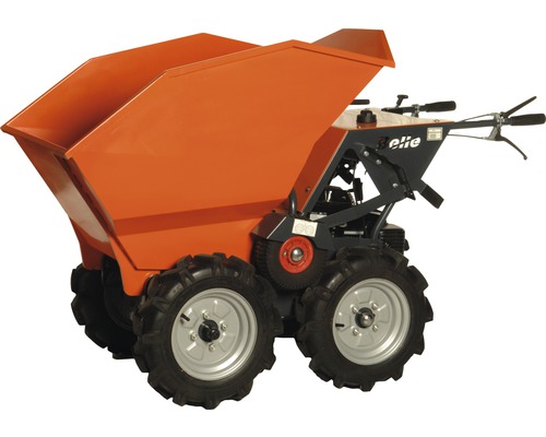 Belle BMD minidumper