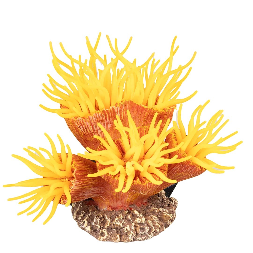 Kunstplant Euphyllia Oranje