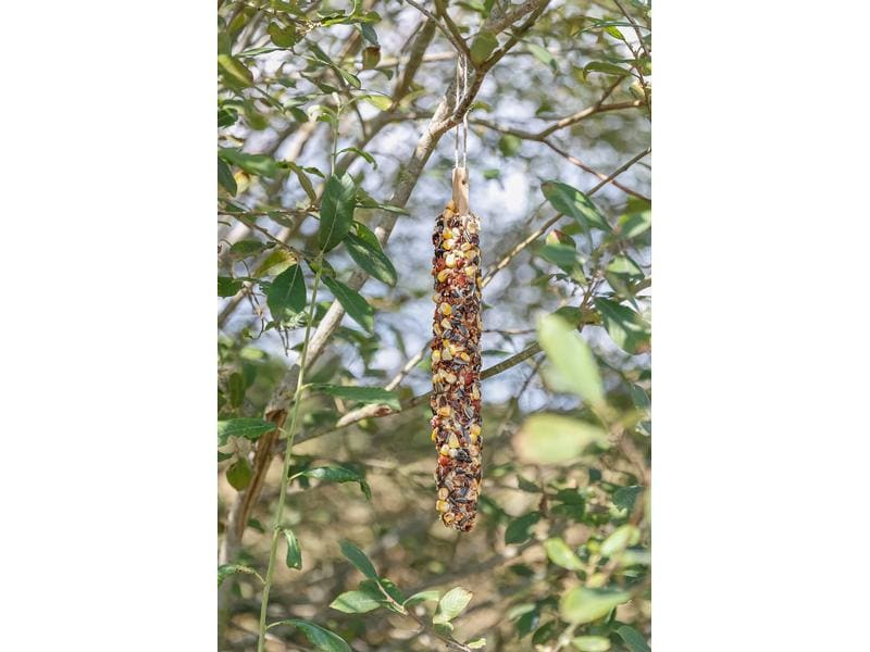 Trixie Eichhörnchenfutter Futterstange XL, 190 g Futterstange für Eichhörnchen